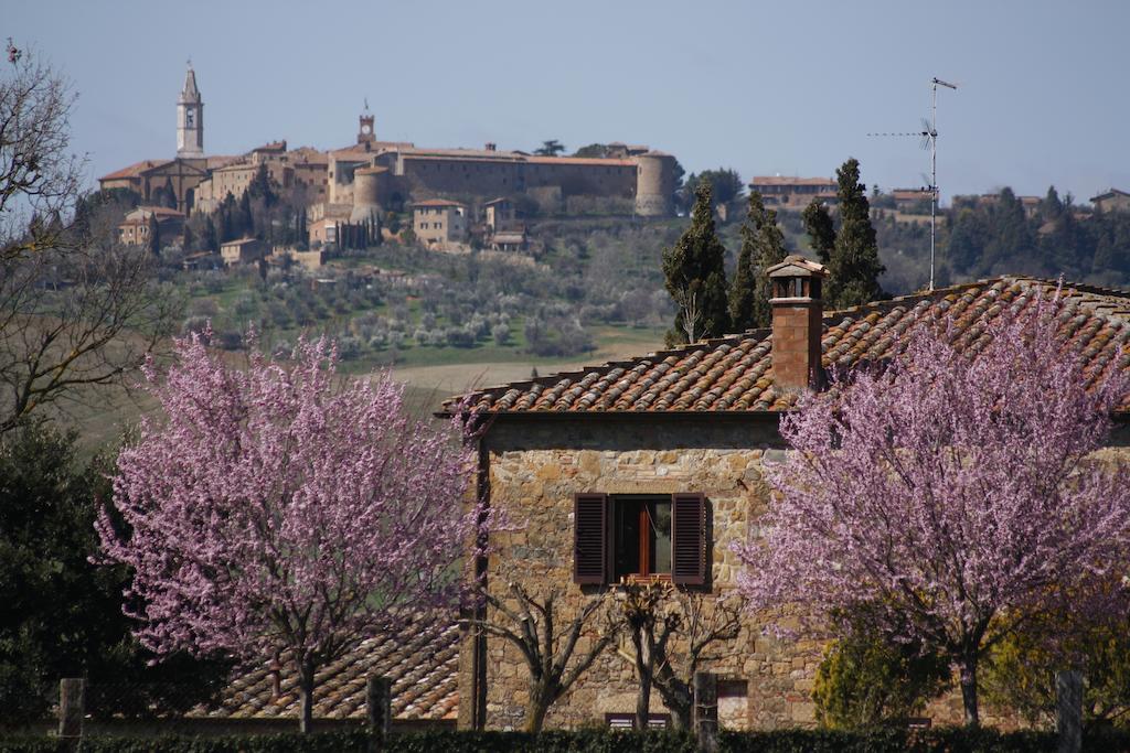 Agriturismo Casalpiano Pienza Zewnętrze zdjęcie