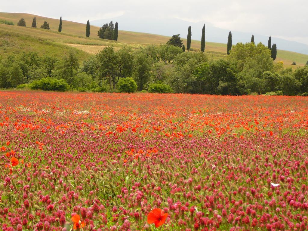 Agriturismo Casalpiano Pienza Zewnętrze zdjęcie